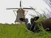 foto550-txgsfoif-jpg
