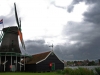ooievaar-jpg